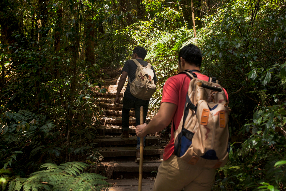 Ecosturismo